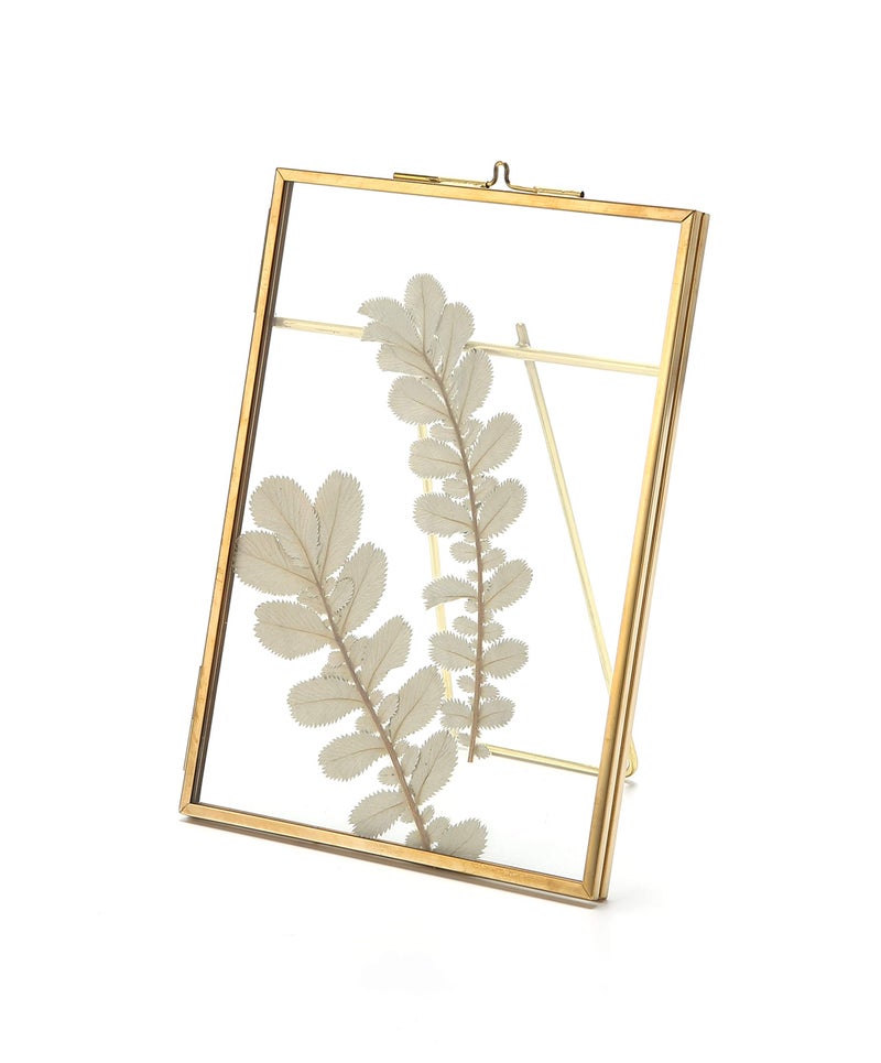 Rising Star Supply Rising Star Brass Frame, Single 8x10 Picture Frame, Gold Metal Pressed Glass Photo Frame - Image 5